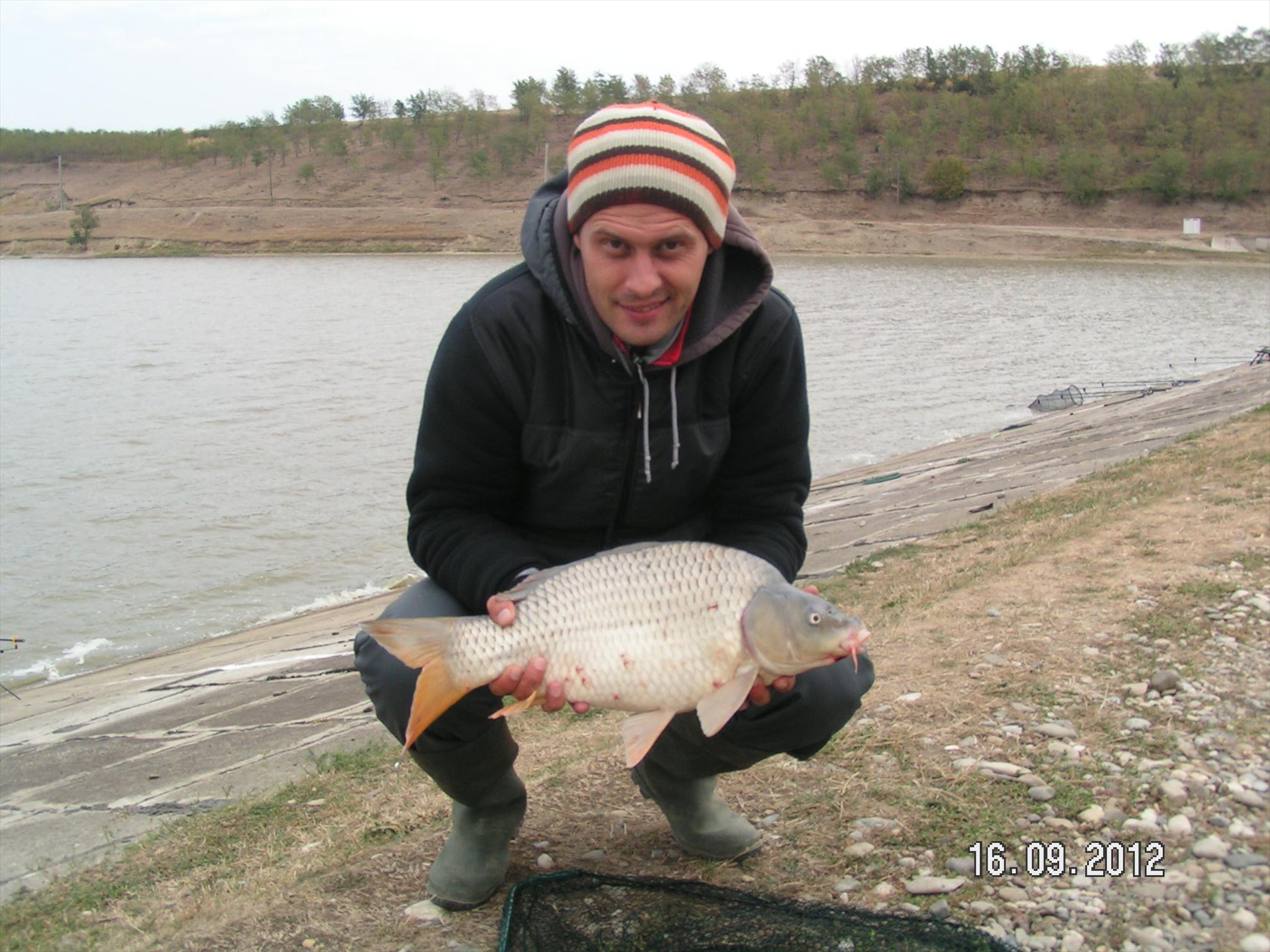 Horgesti 16.09.2012 - pict0987.JPG